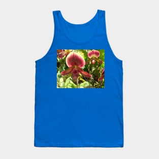 Serene Beauty: Red-Green Venus Slipper Orchids Print Tank Top